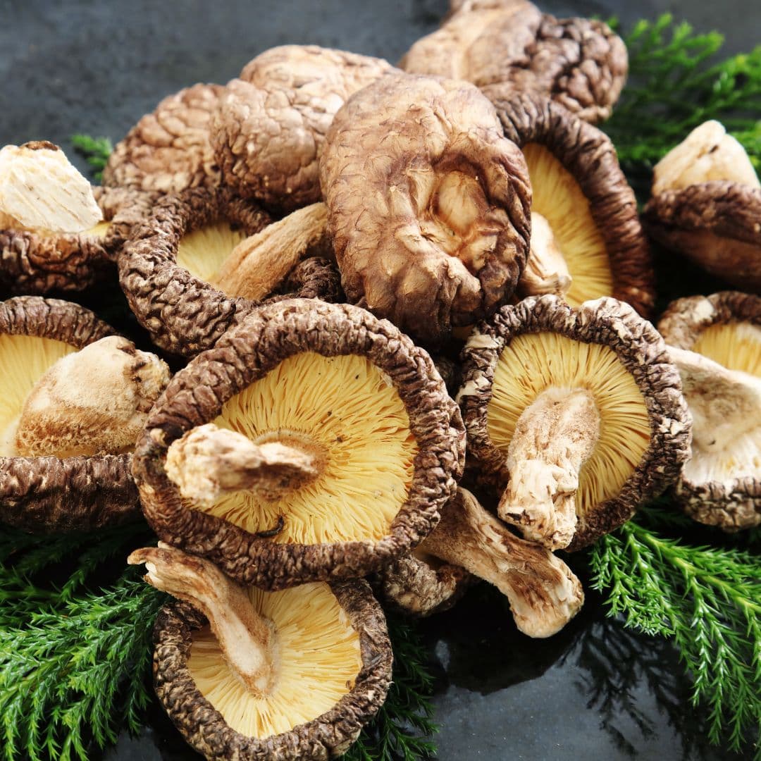 Shiitake Mushrooms
