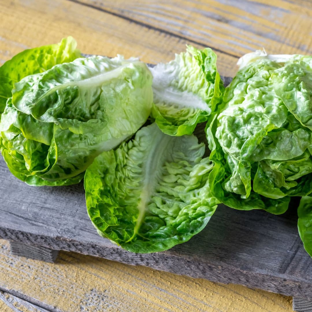 Romaine Lettuce