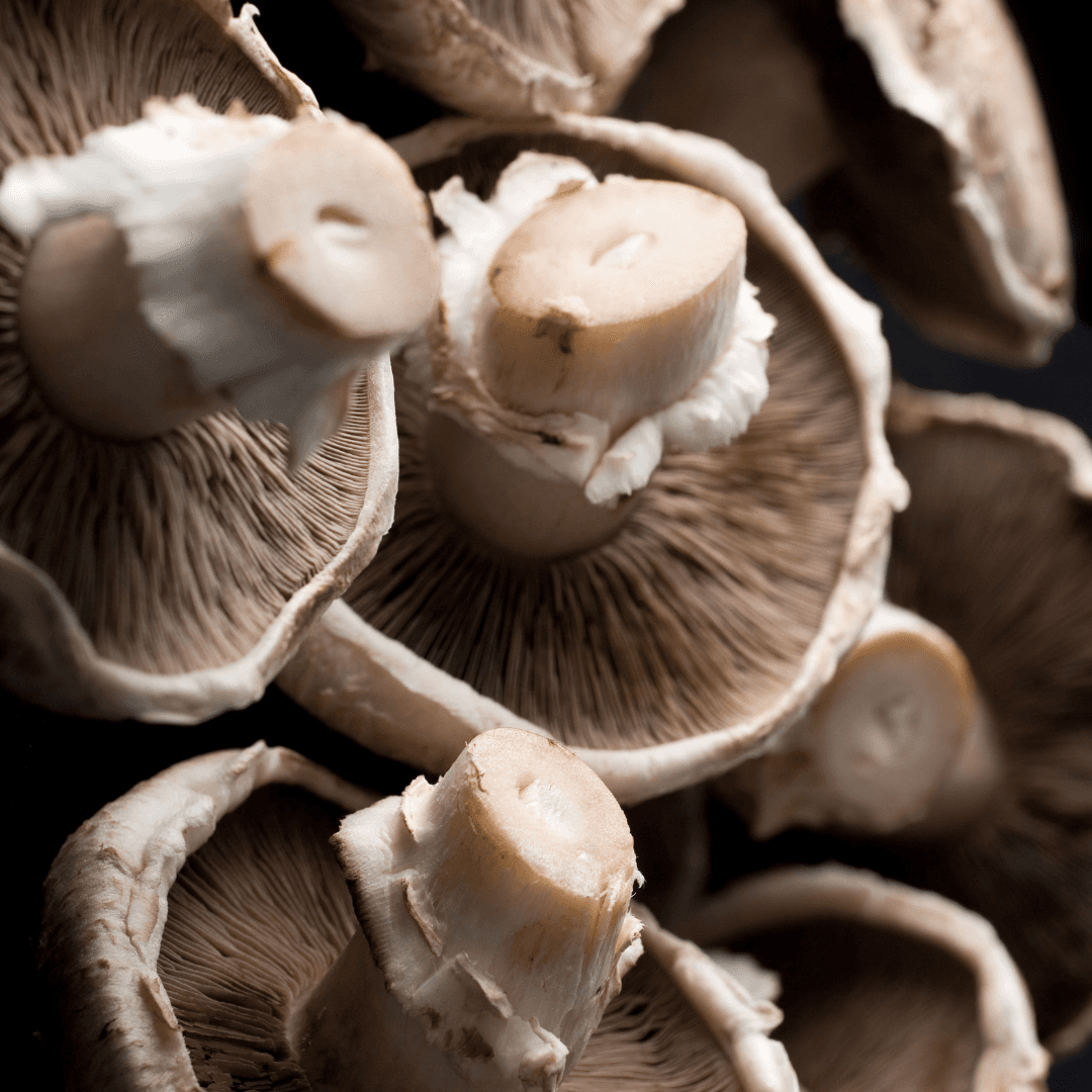 Portobello Mushrooms