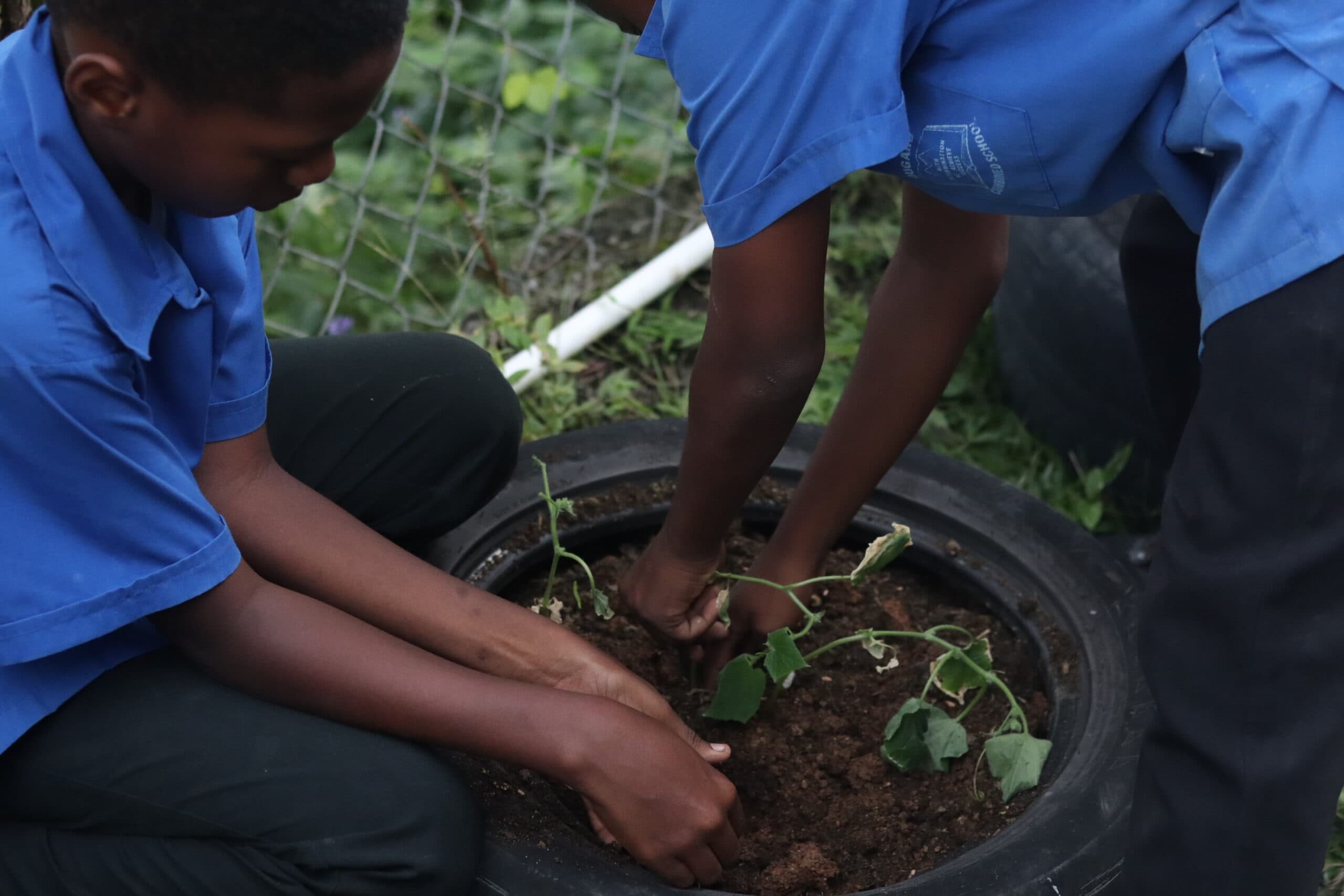 Students learning about aquaponics